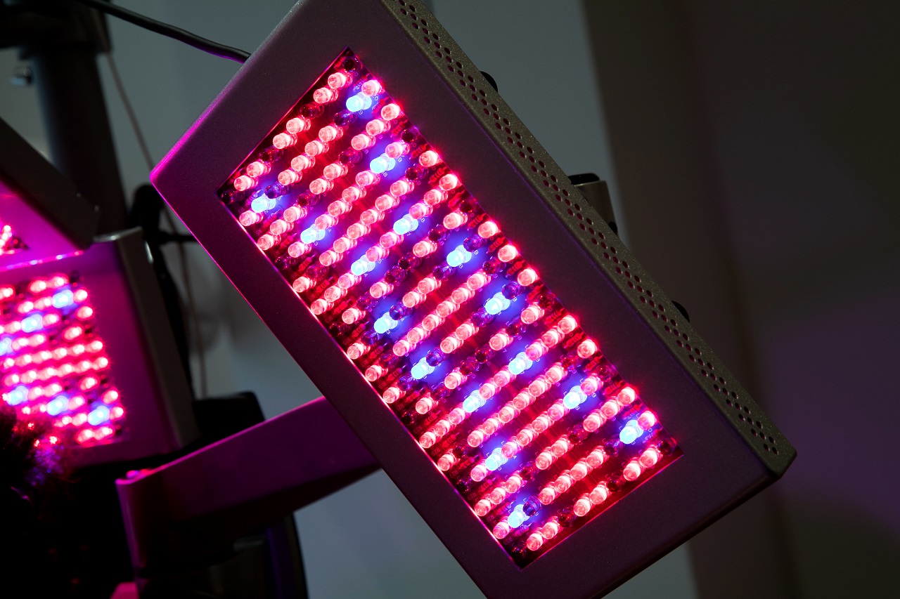 波長の異なる3種類の青色LED、赤色LED、近赤外線の光線。